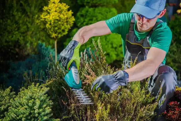 landscaping services Brushton